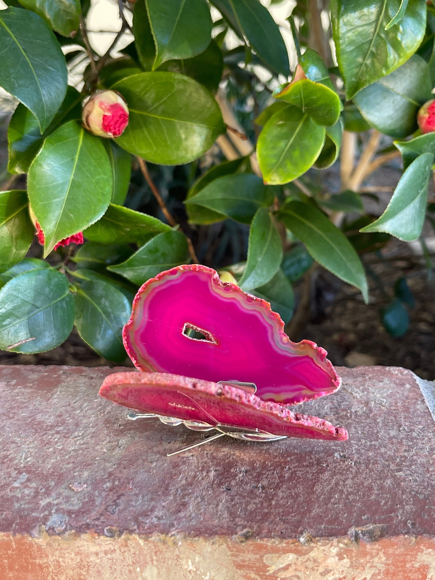 You Choose Agate Butterfly, Butterflies, Crystal Butterfly, Agate Slice, Crystals, Home Decor, Home Accessories, Nature lovers