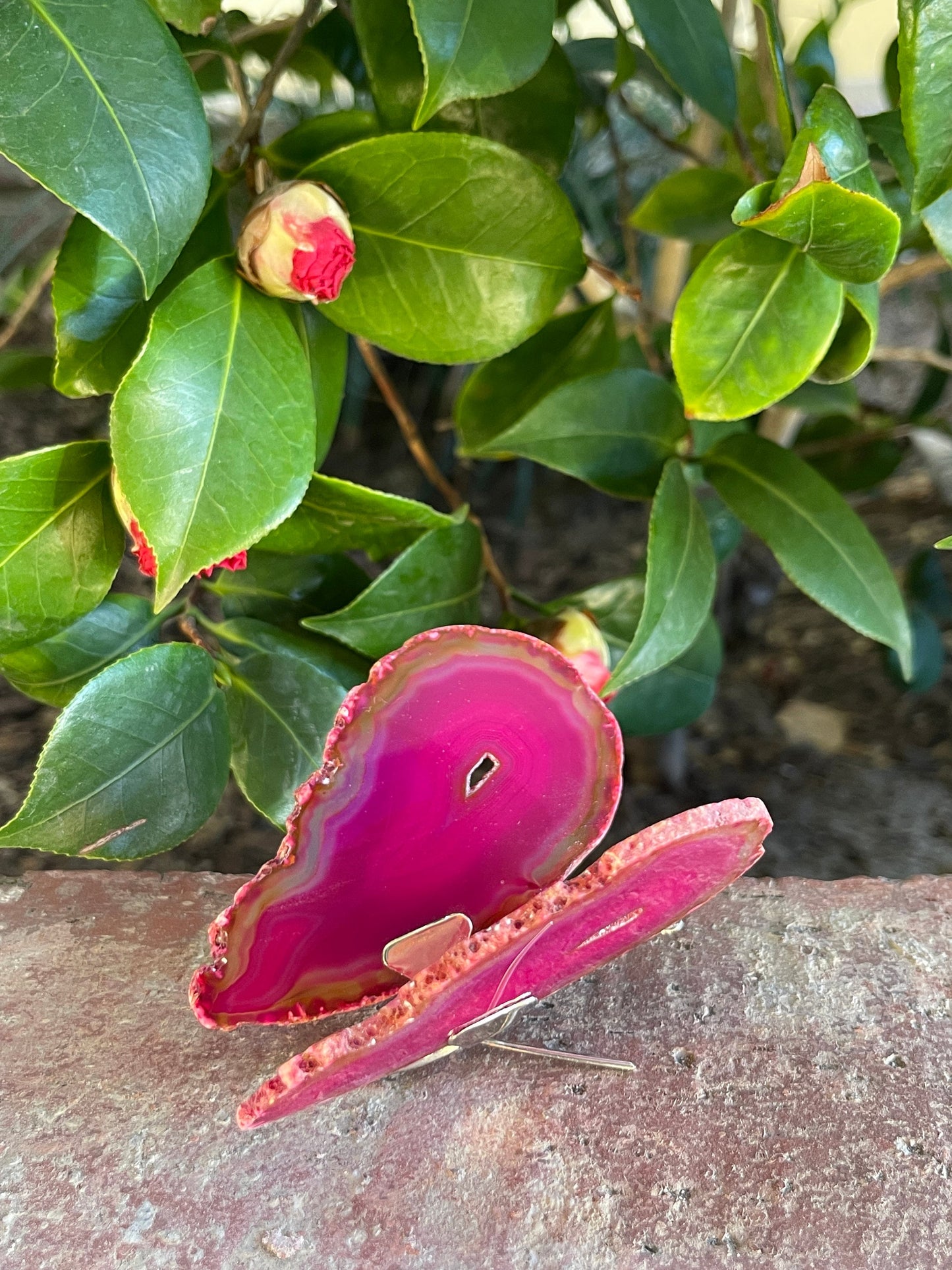 You Choose Agate Butterfly, Butterflies, Crystal Butterfly, Agate Slice, Crystals, Home Decor, Home Accessories, Nature lovers