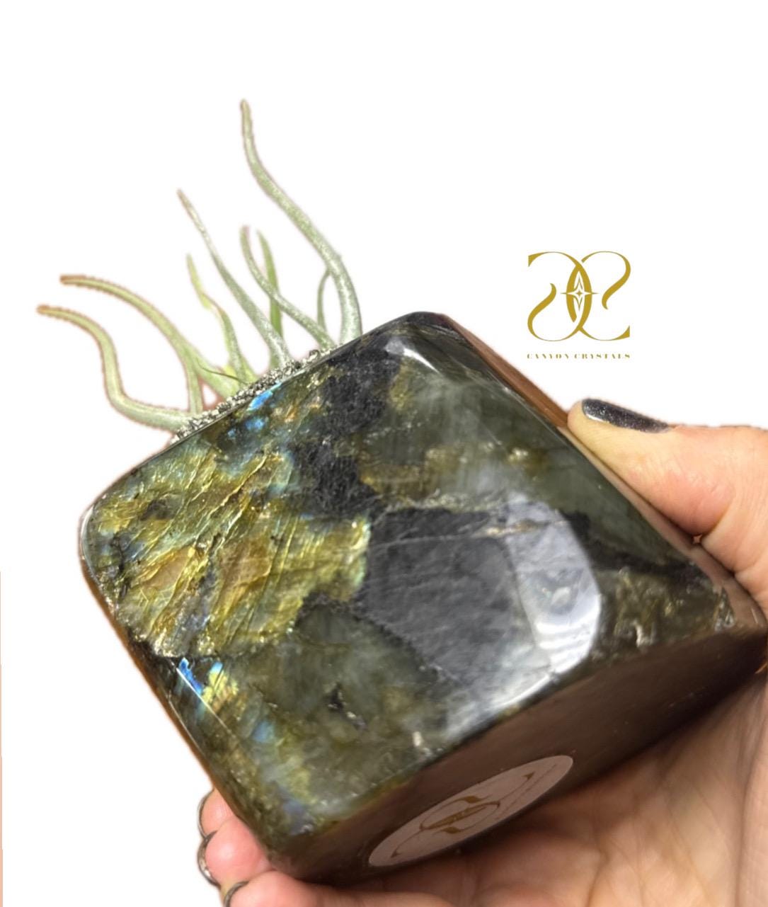 Labradorite & Pyrite Crystal Air Plant Holder, Tea Light Candle Holder – Dual Purpose Gemstone Decor for Home or Office