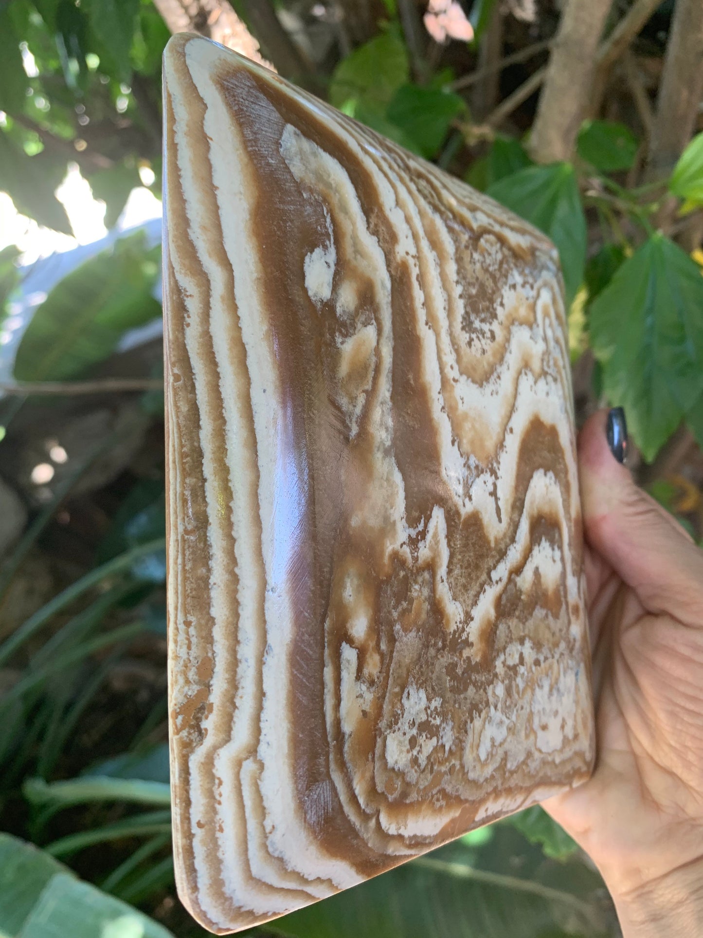 Aragonite Dish, Aragonite Plate, Jewelry Dish, Trinket Dish, Home Decor, Home Accessories, Crystals, Valentines Day Gifts