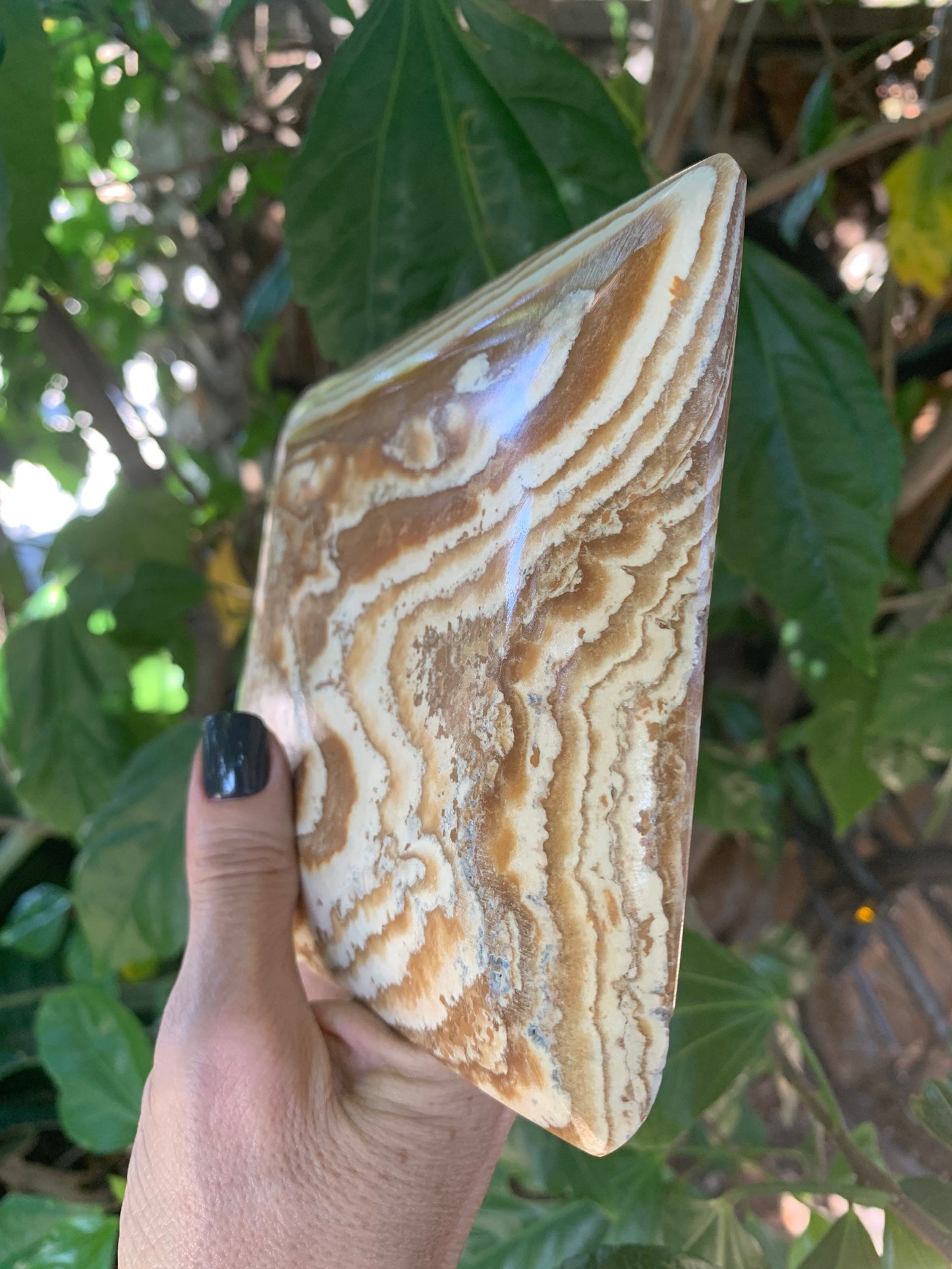 Aragonite Dish, Aragonite Plate, Jewelry Dish, Trinket Dish, Home Decor, Home Accessories, Crystals, Valentines Day Gifts