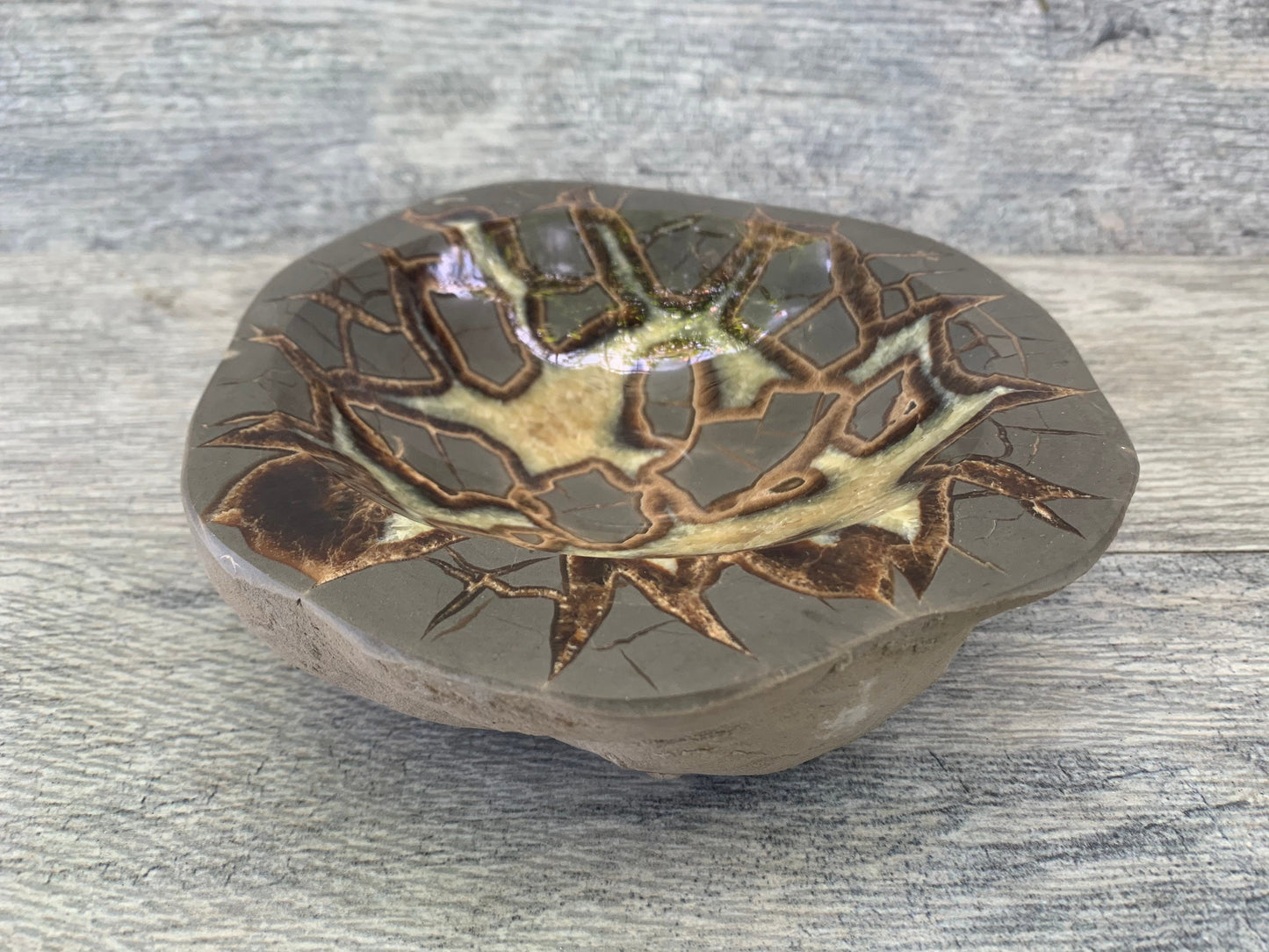 Large Septarian Bowl, Septarian Dish, Calcite Bowl, Home Decor, Home Accessories, Reiki, Crystal Shop, Gems & Minerals