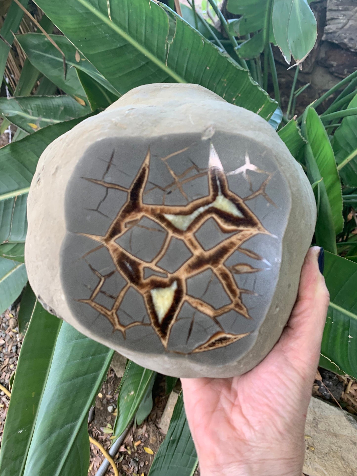 Large Septarian Bowl, Septarian Dish, Calcite Bowl, Home Decor, Home Accessories, Reiki, Crystal Shop, Gems & Minerals