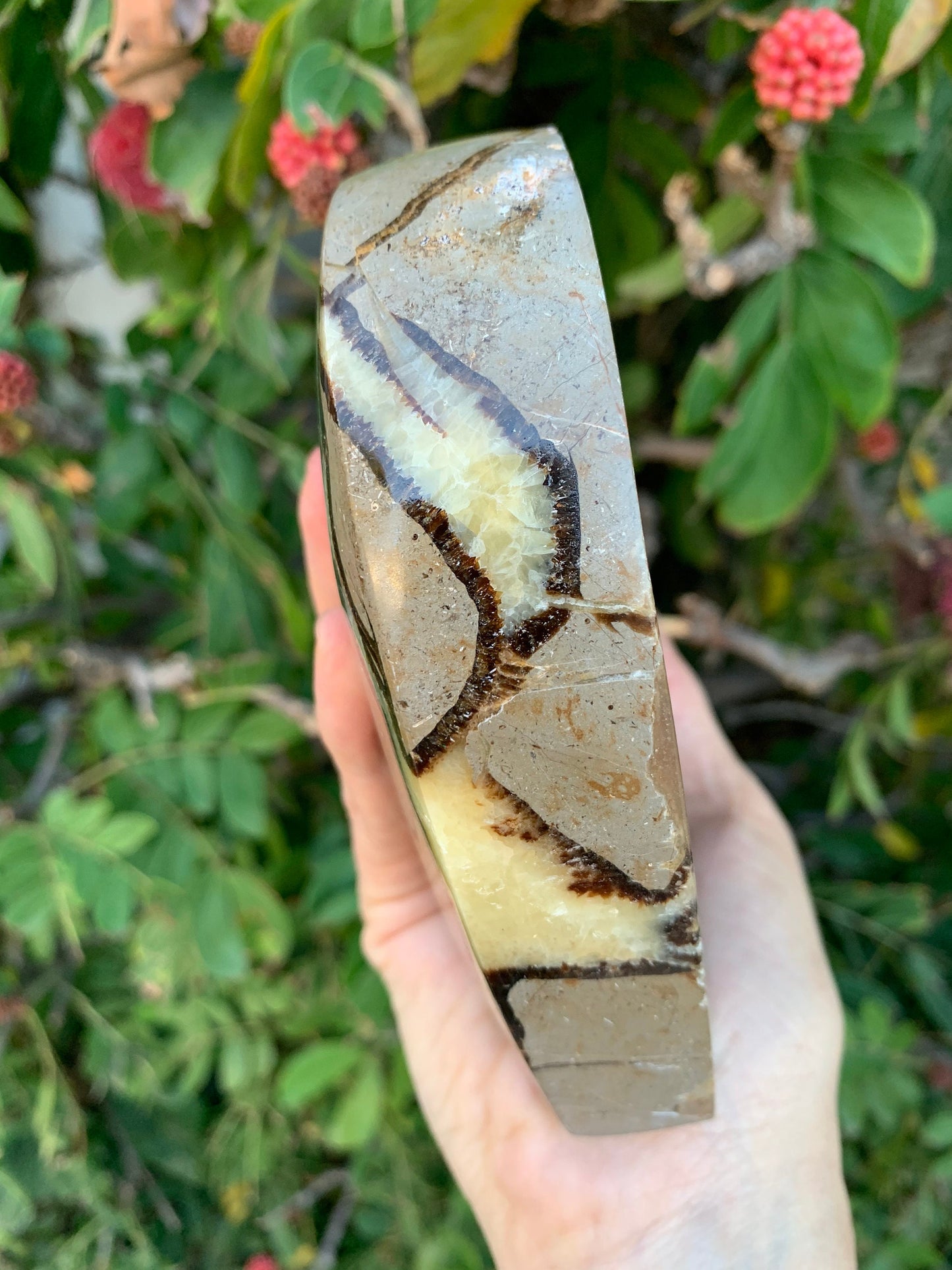 Large Septarian Bowl, Septarian Heart Dish, Septarian Bowl, Home Decor, Home Accessories, Reiki, Crystal Shop, Valentine's Day Gifts, Hearts