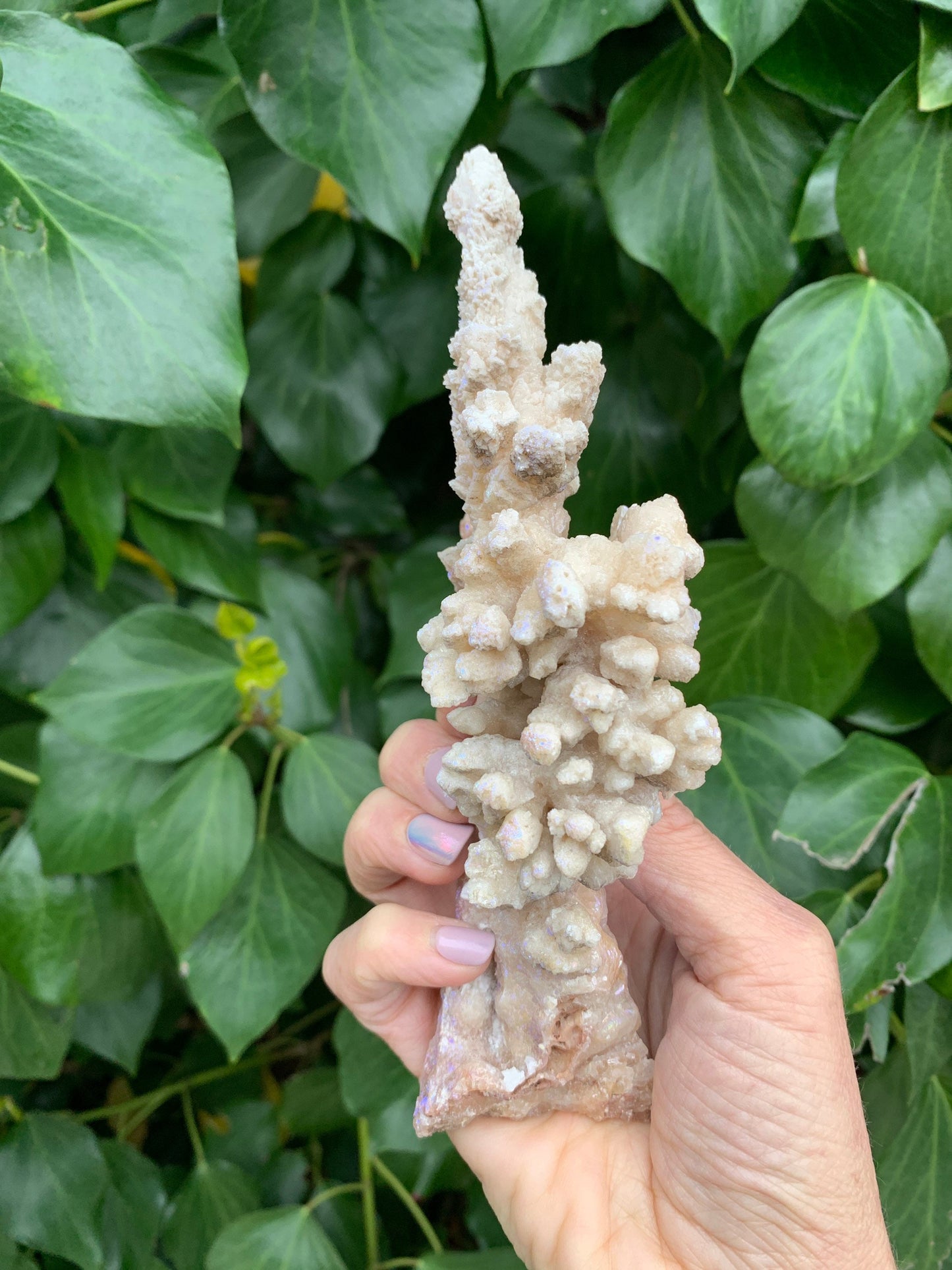 Angel Aura Calcite Stalactite, Stalactite, Calcite Stalactites, Angel Aura, Aura Crystals, Home Decor, Love