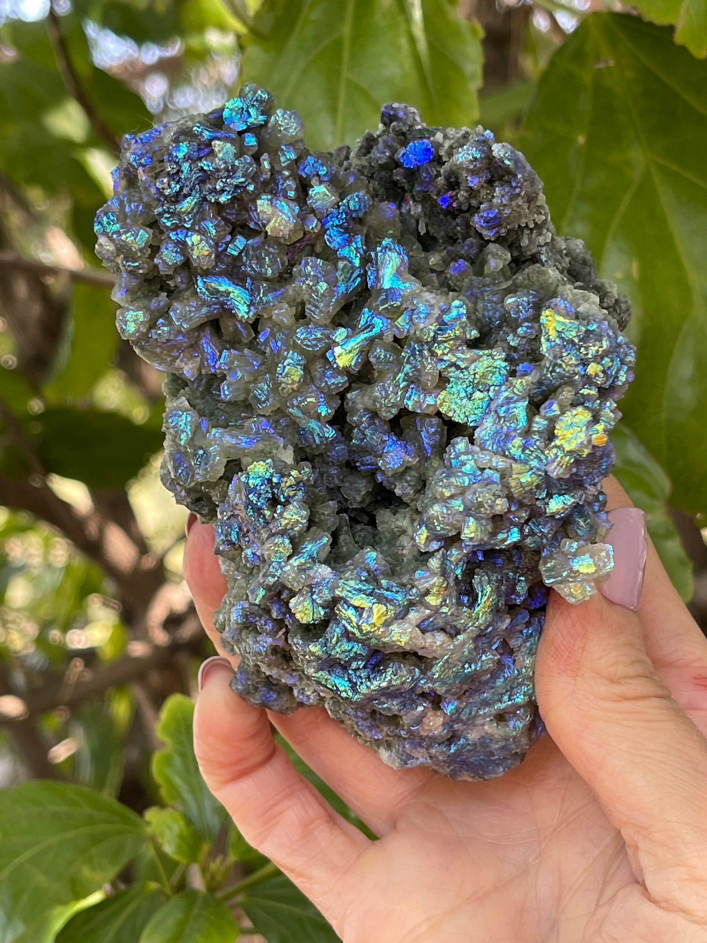 Large Aura Prehnite Cluster, Angel Aura, Aura Crystals, Aura Quartz, Rainbow Aura, Spiritual Tools, Rocks and Geodes, Custom Aura