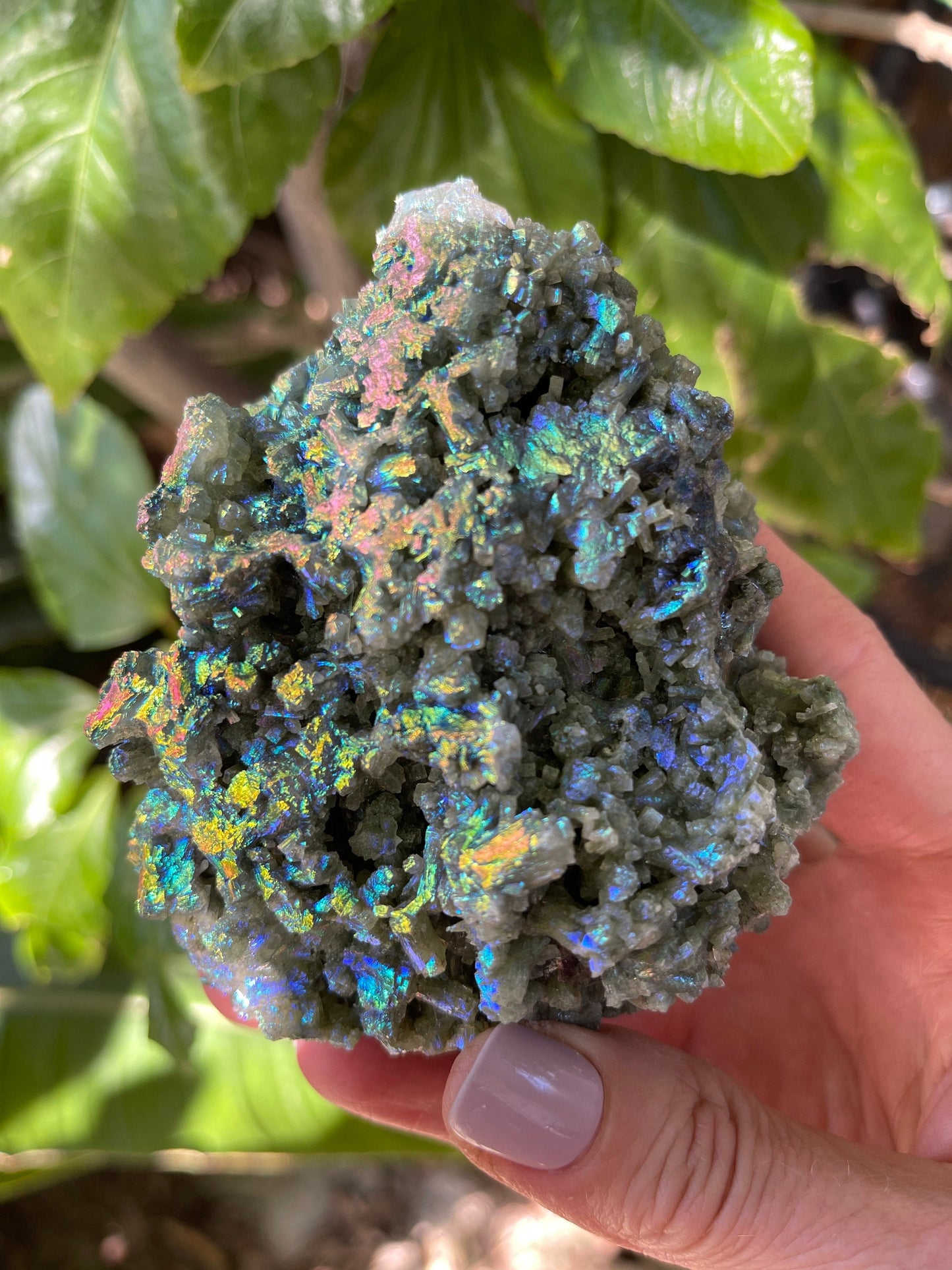 Large Aura Prehnite Cluster, Angel Aura, Aura Crystals, Aura Quartz, Rainbow Aura, Spiritual Tools, Rocks and Geodes, Custom Aura