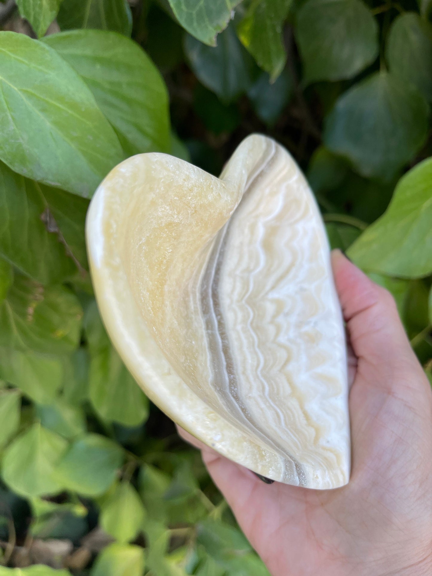 Zebra Onyx Heart Dish, Heart Bowl, Ring Dish, Gemstone Hearts, Home Accessories, Home Decor, Housewarming, Reiki, Chakra,Altar