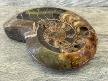 Large Ammonite Bowl, Dendritic Ammonite, Ammonite Fossil, Crystal Shop, Fossils, Masculine Decor, Home Decor, Holiday gifts, Men's gifts