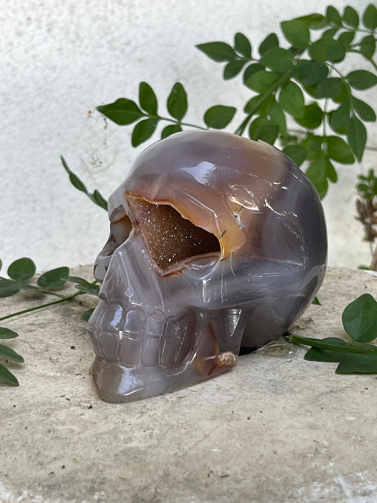 Druzy Agate Skull Carving – Reiki Charged Altar Decor (4" x 2.5")