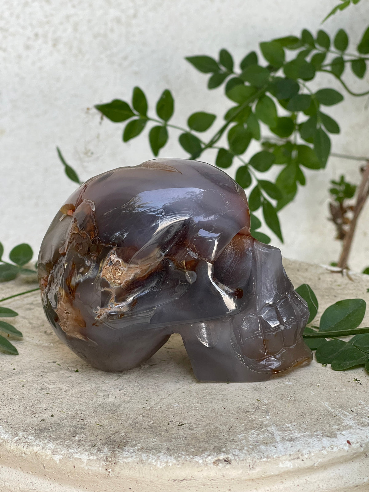 Druzy Agate Skull Carving – Reiki Charged Altar Decor (4" x 2.5")