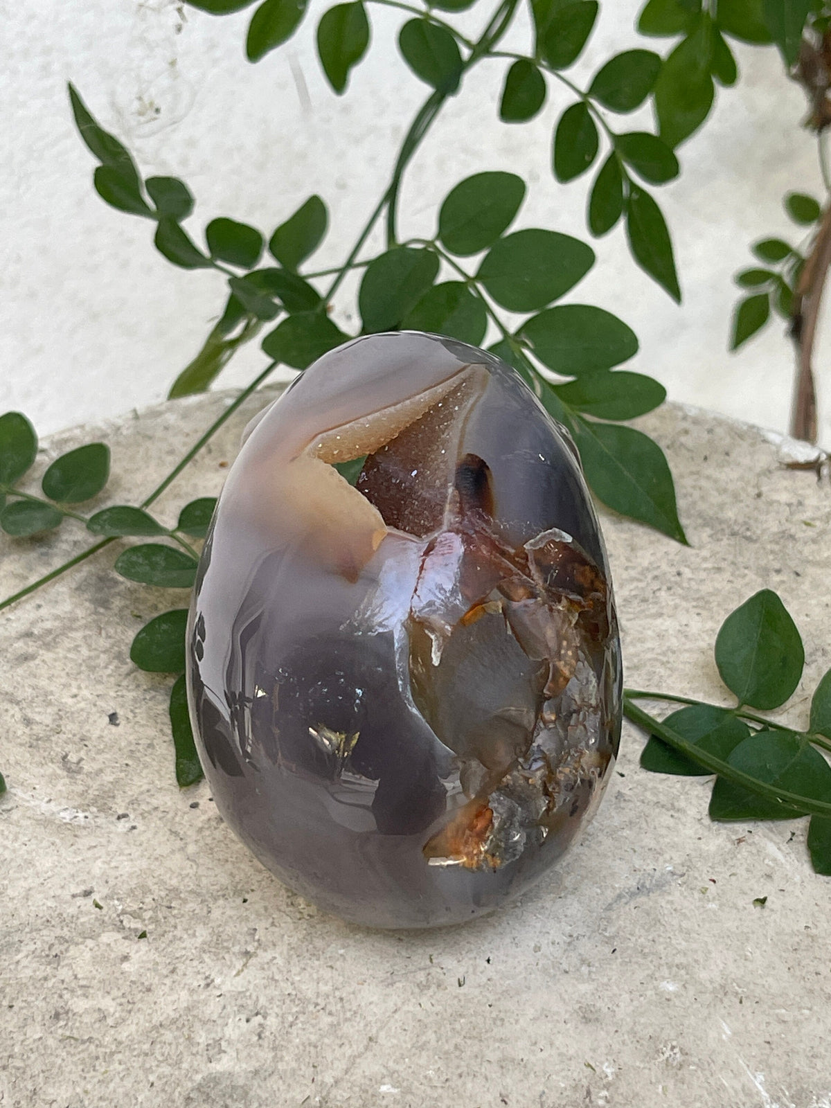 Druzy Agate Skull Carving – Reiki Charged Altar Decor (4" x 2.5")