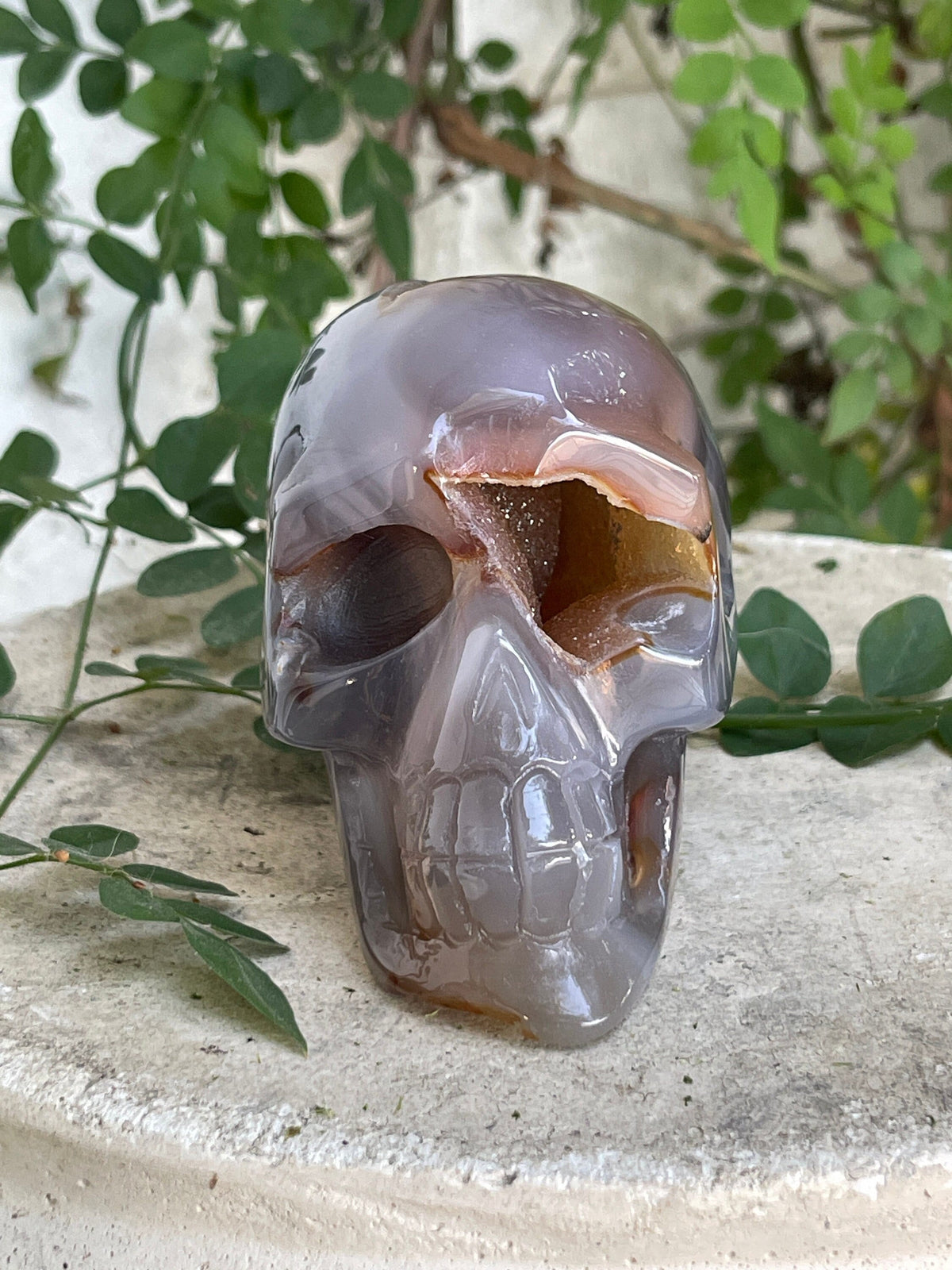 Druzy Agate Skull Carving – Reiki Charged Altar Decor (4" x 2.5")