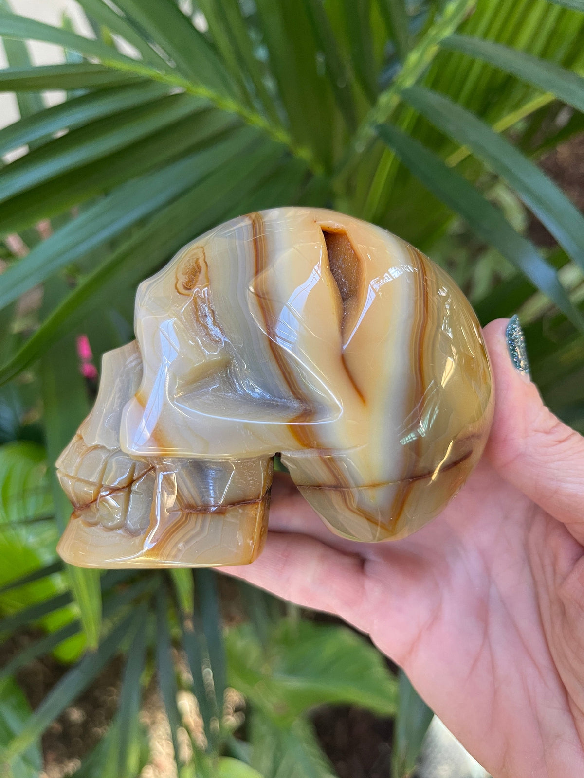 Carnelian Crystal Skull: High Vibration Gemstone Carving