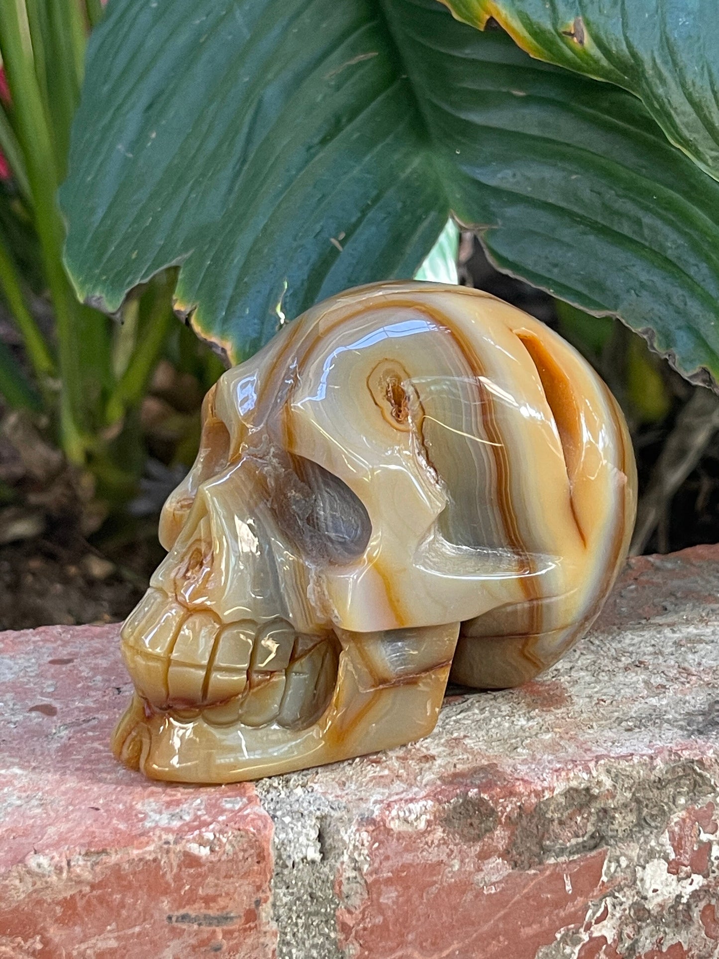 Carnelian Skull, Carnelian Carvings Home Decor, Gifts for Men, Home Accessories, Crystal Skulls,High Vibration Gems, Crystals for Creativity