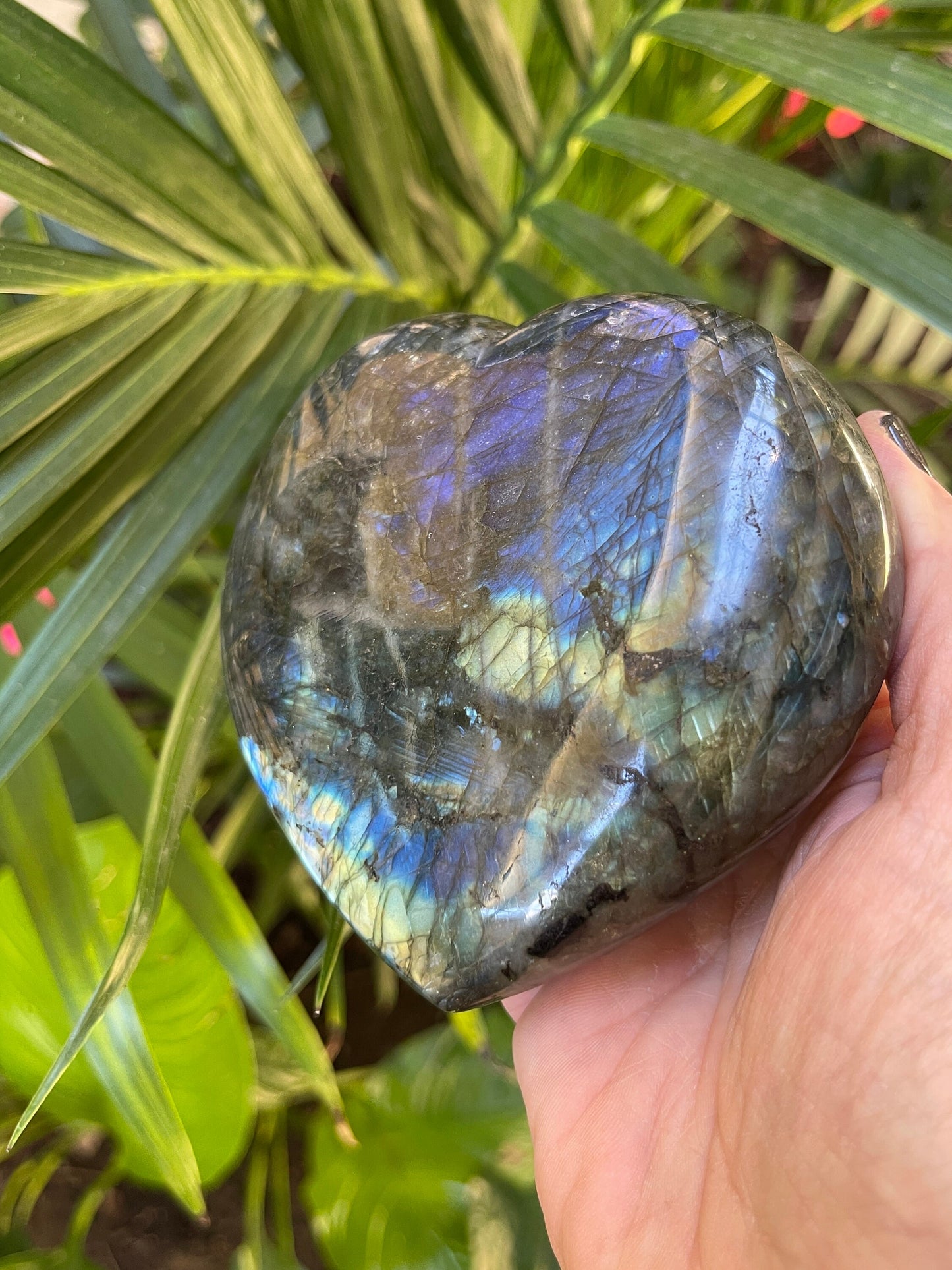 High Quality Labradorite Heart, Blue Labradorite, Flashy Labradorite Carvings, Crystal Hearts, Home Decor, Crystals for Intuition