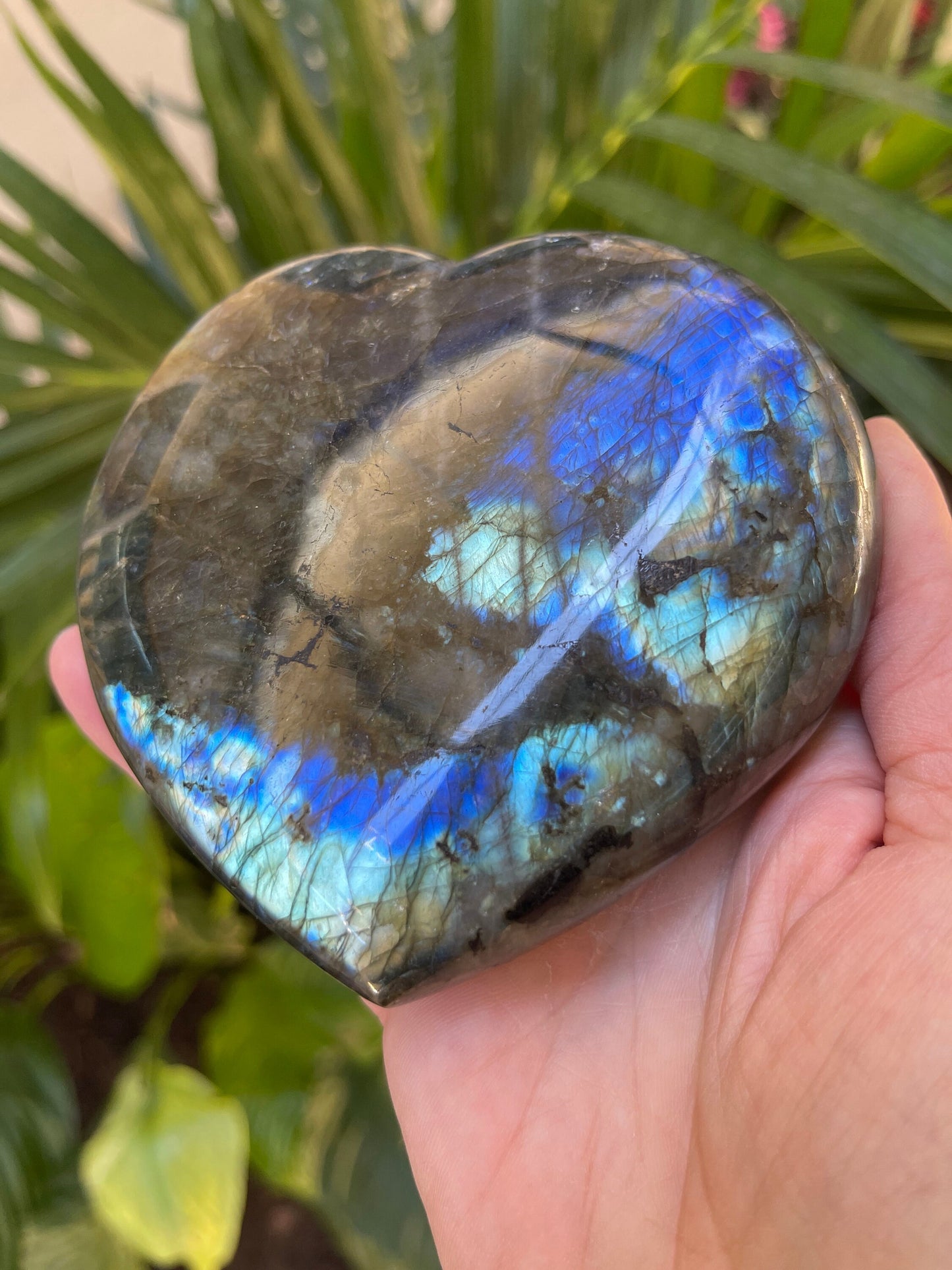 High Quality Labradorite Heart, Blue Labradorite, Flashy Labradorite Carvings, Crystal Hearts, Home Decor, Crystals for Intuition