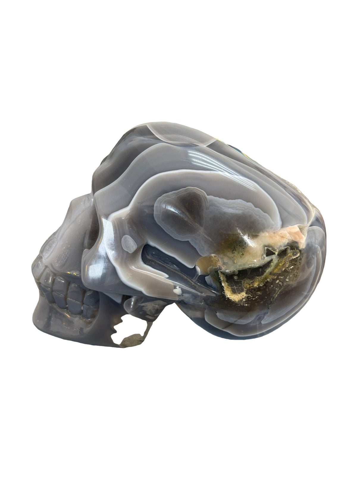 Large 6" Druzy Agate Skull: Crystal Carving, Altar Decor