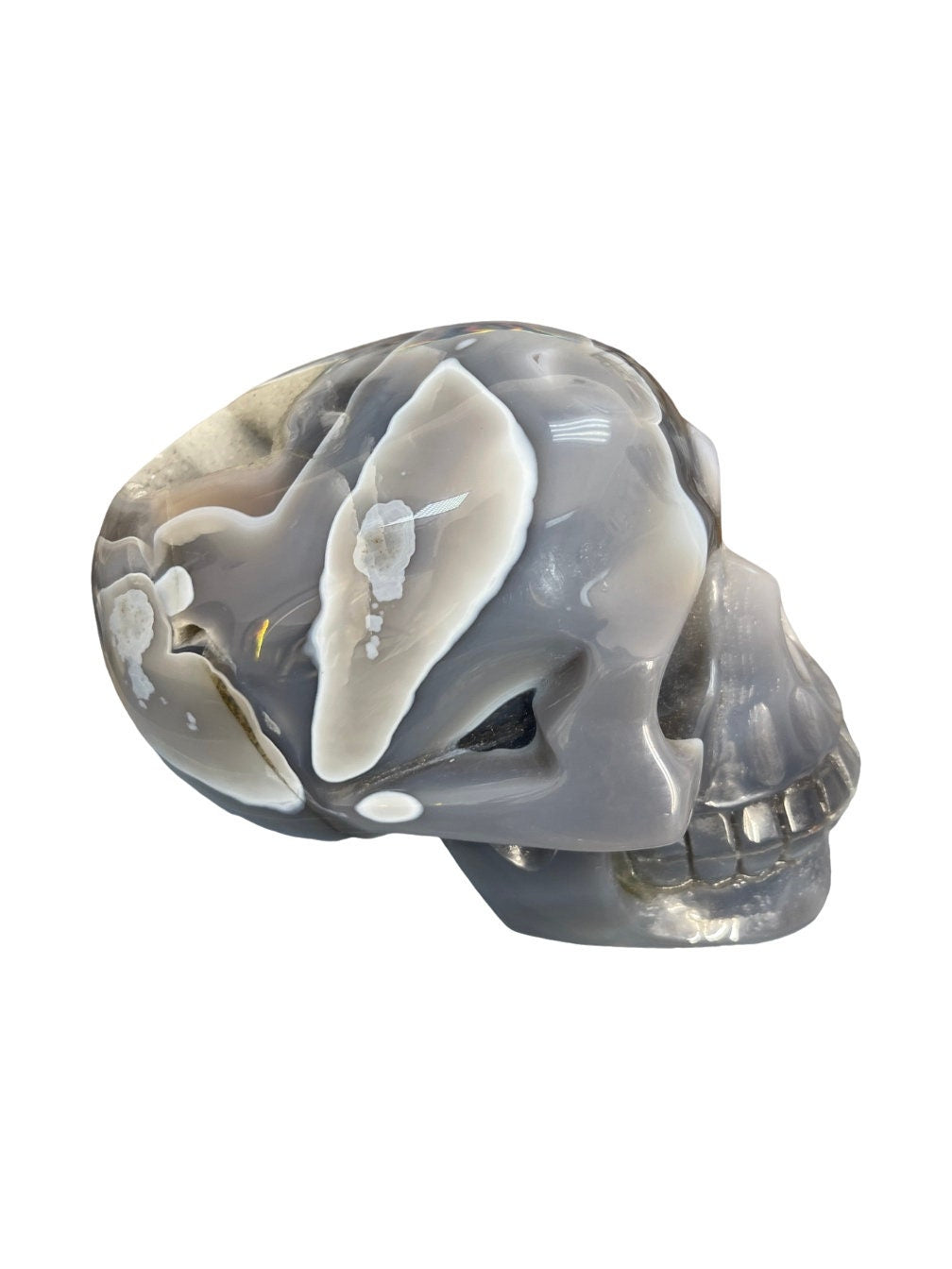 Large 6" Druzy Agate Skull: Crystal Carving, Altar Decor