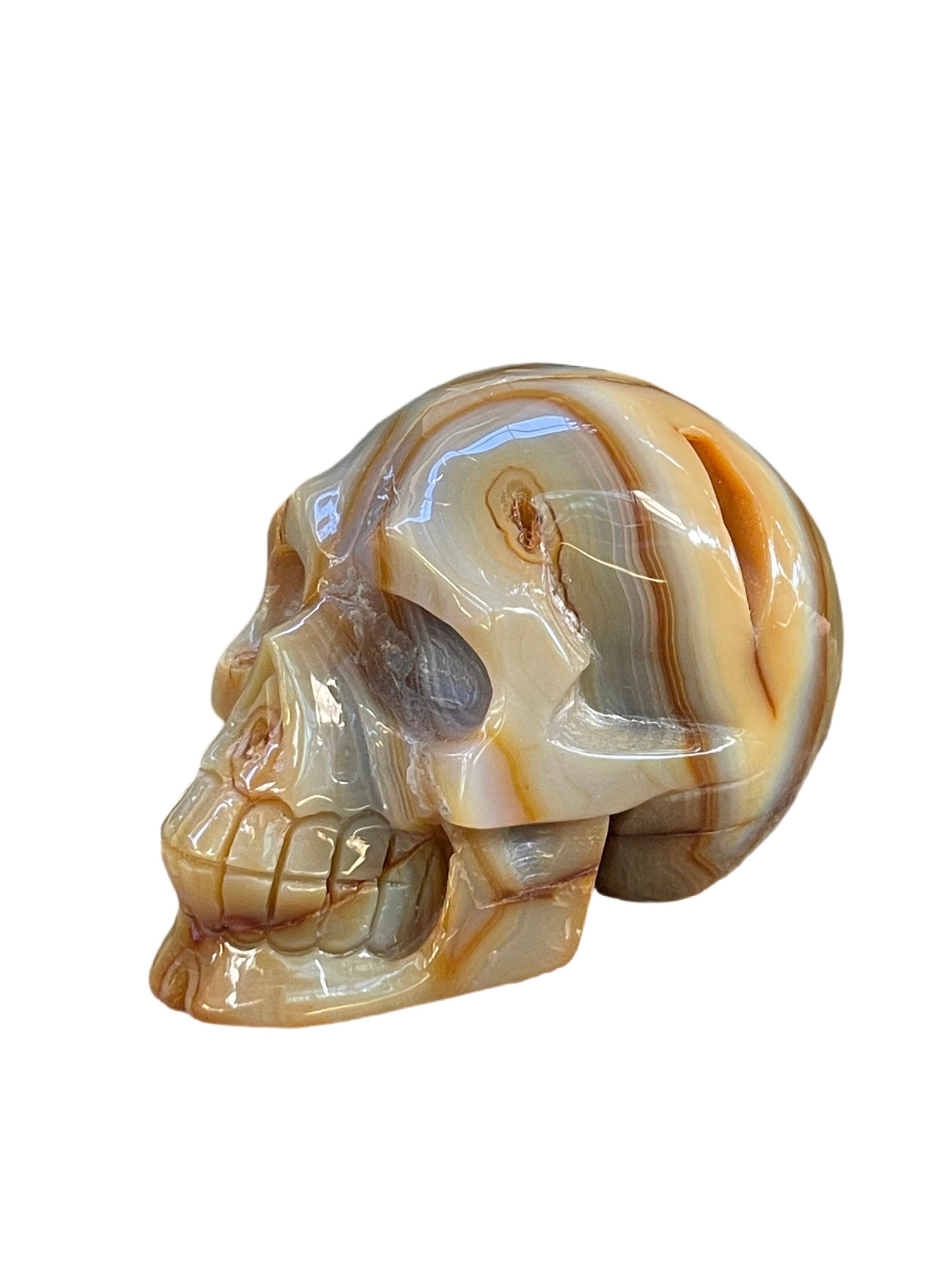 Carnelian Crystal Skull: High Vibration Gemstone Carving