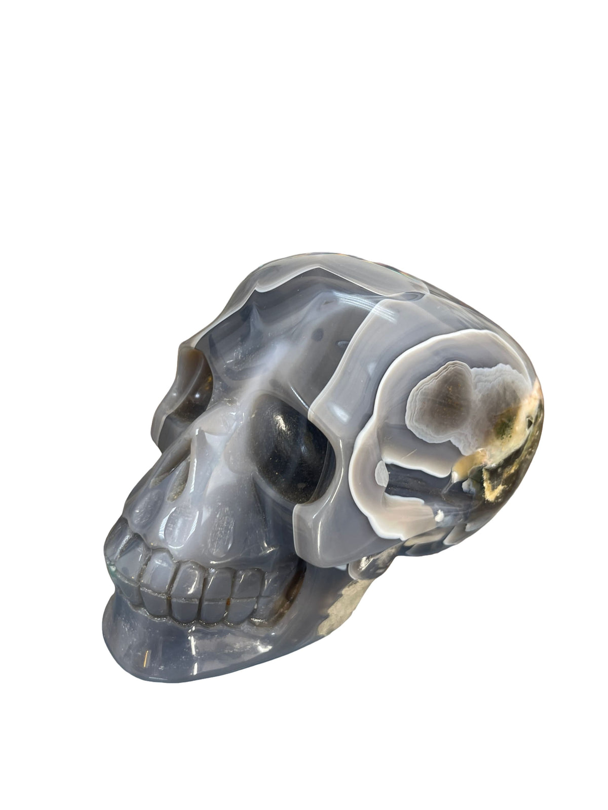 Large 6" Druzy Agate Skull: Crystal Carving, Altar Decor