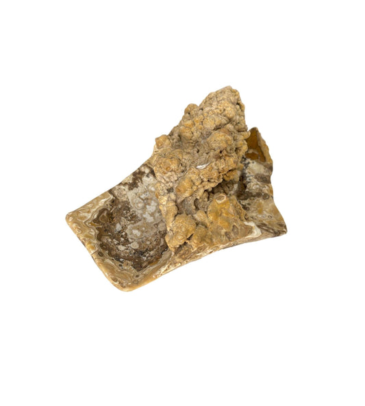 Natural Brown Onyx Bowl: Gemstone Crystal Altar Dish (11.54" x 7" x 6.5")