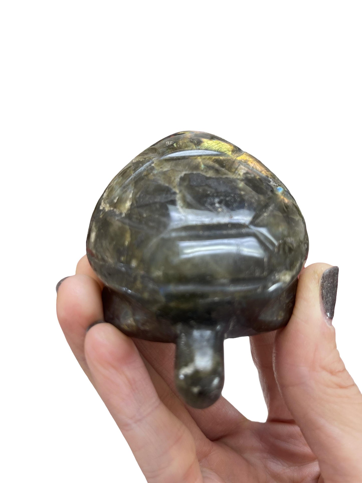 Labradorite Turtle, Sunset Labradorite, Flashy Labradorite Carvings, Crystal Turtle, Home Decor, Crystals for Protection, Sea Turtle