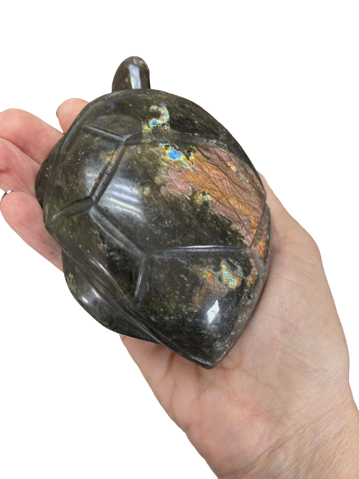 Flashy Labradorite Turtle Carving: Crystal Home Decor