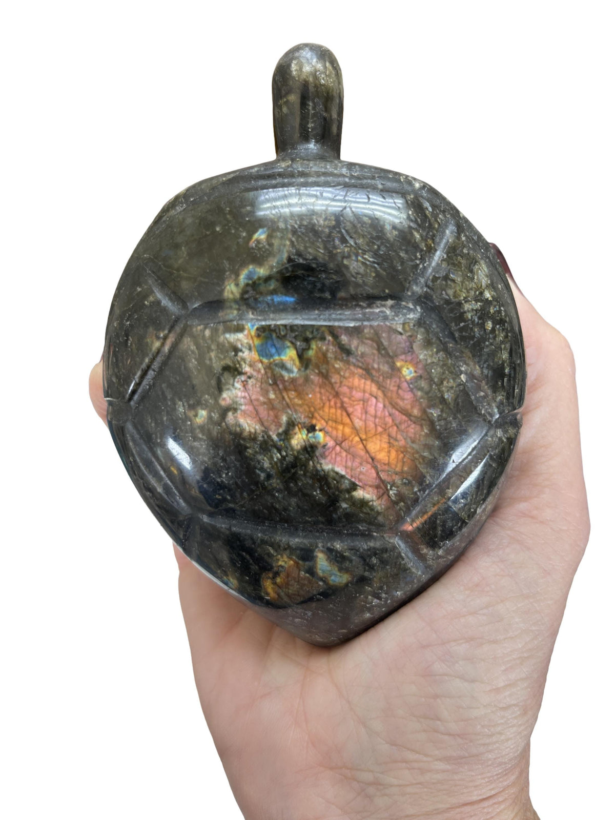 Flashy Labradorite Turtle Carving: Crystal Home Decor