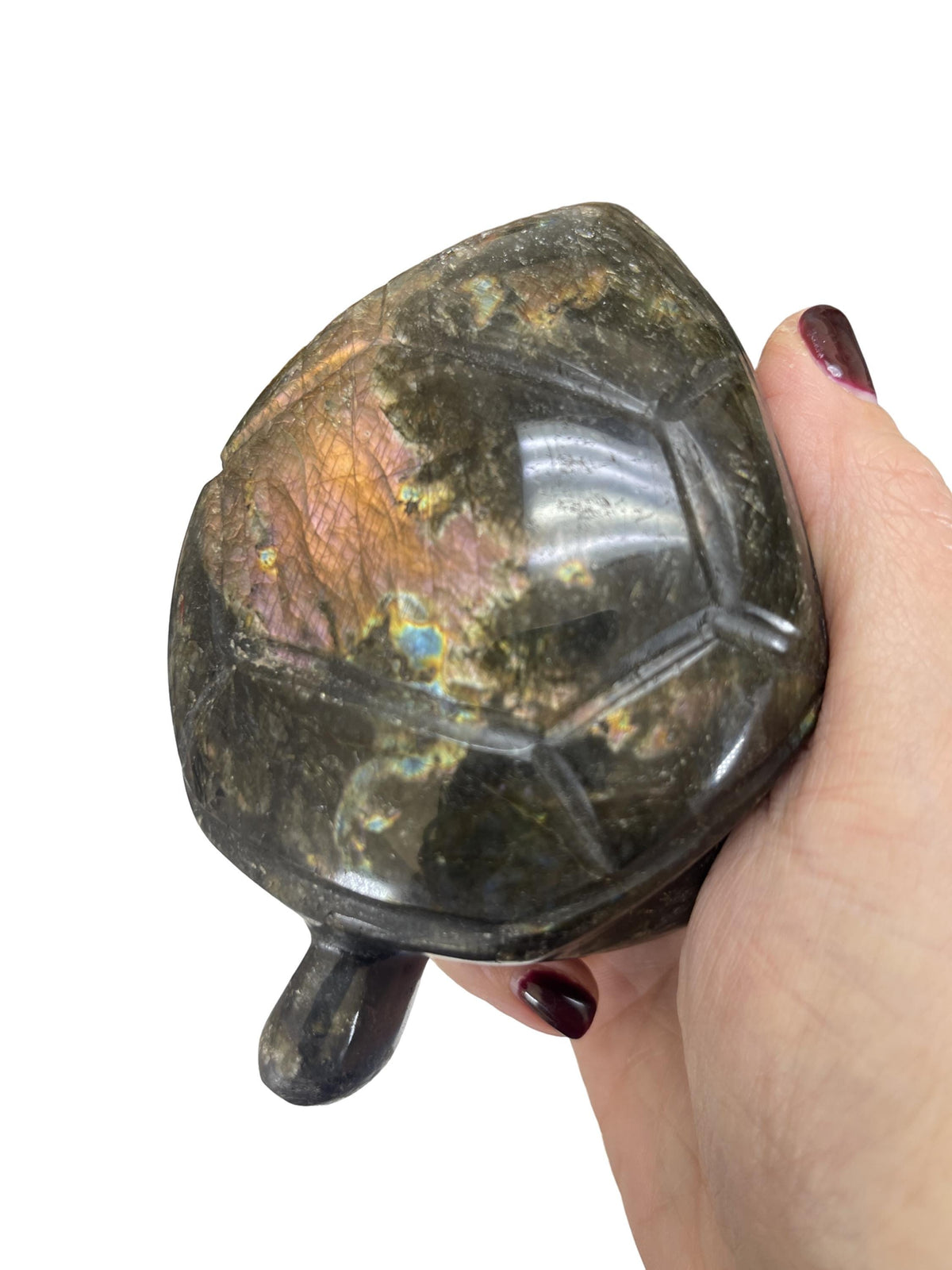 Flashy Labradorite Turtle Carving: Crystal Home Decor