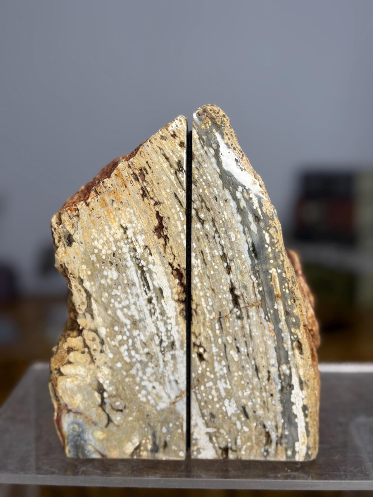 Ocean Jasper Bookends | Luxury Gemstone Bookends | Coastal Crystal Decor | Library Decor | Druzy Crystal Shelf Accent | Modern Home Decor