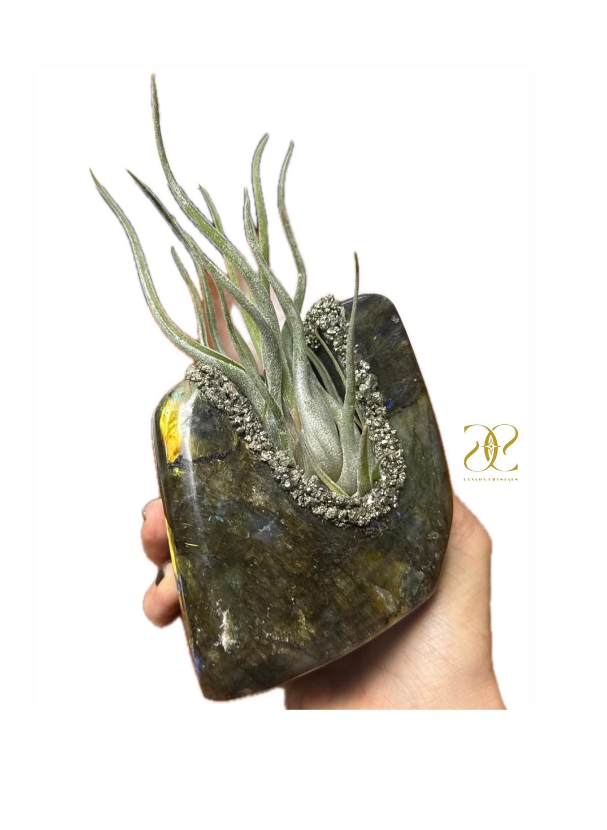 Labradorite & Pyrite Crystal Air Plant Holder, Tea Light Candle Holder – Dual Purpose Gemstone Decor for Home or Office