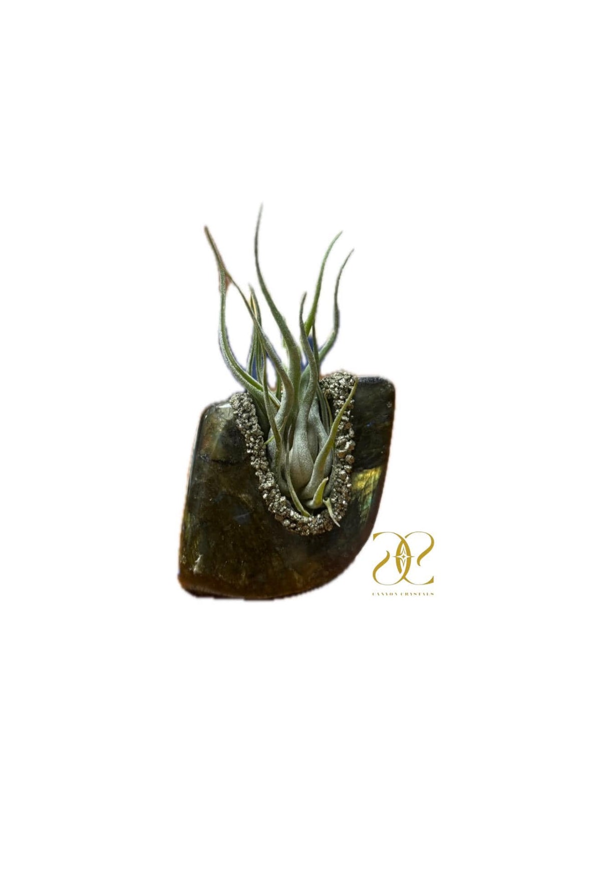 Labradorite & Pyrite Crystal Air Plant Holder, Tea Light Candle Holder – Dual Purpose Gemstone Decor for Home or Office