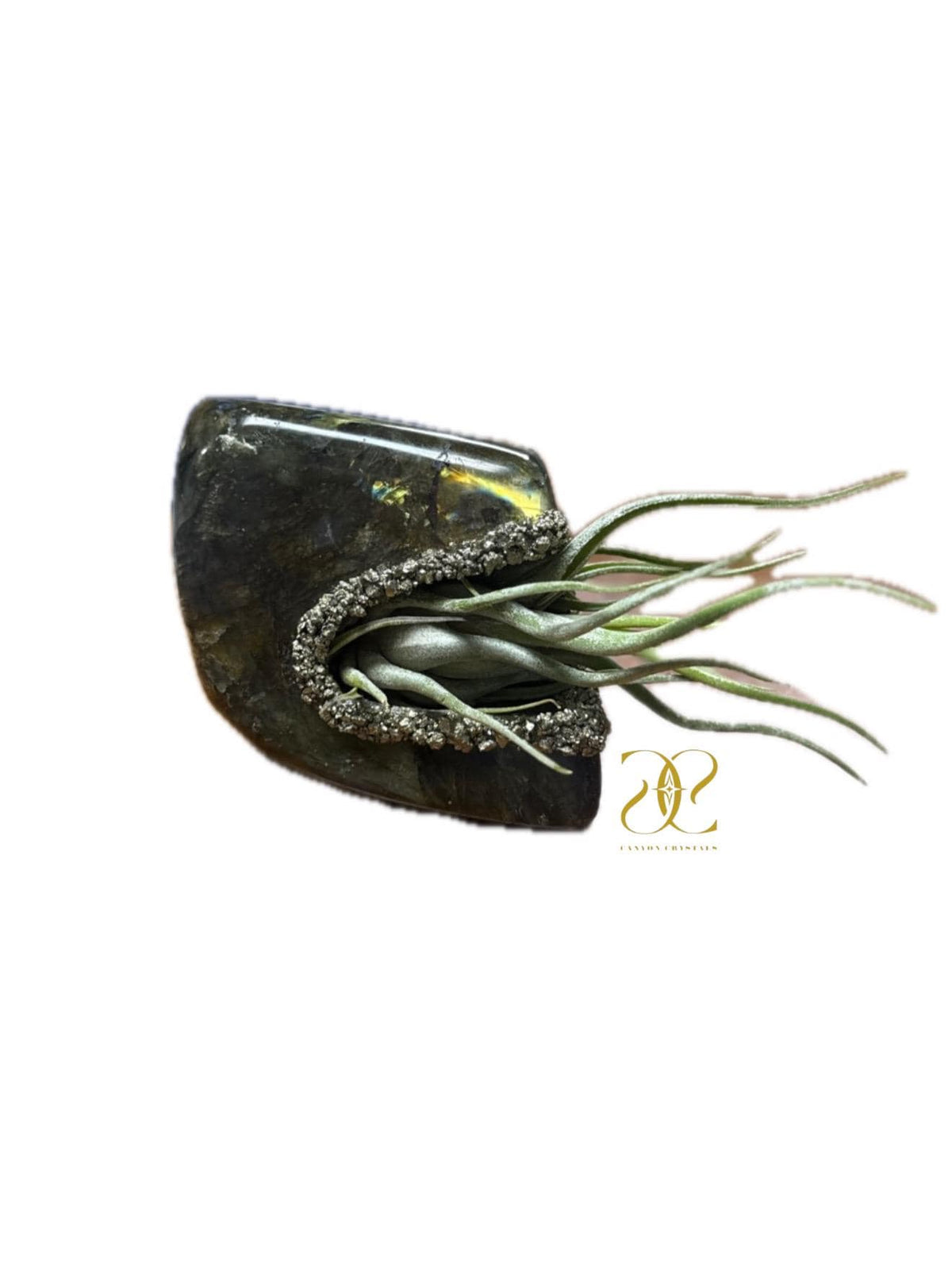 Labradorite & Pyrite Crystal Air Plant Holder, Tea Light Candle Holder – Dual Purpose Gemstone Decor for Home or Office