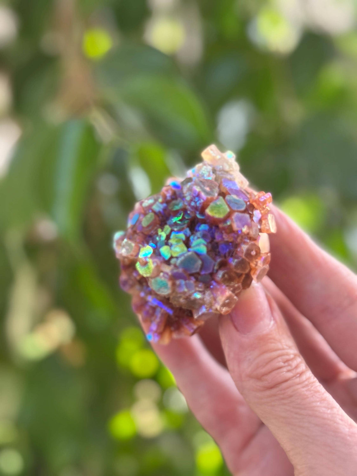 Large Angel Aura Aragonite Star Cluster, Rainbow Aura Crystals