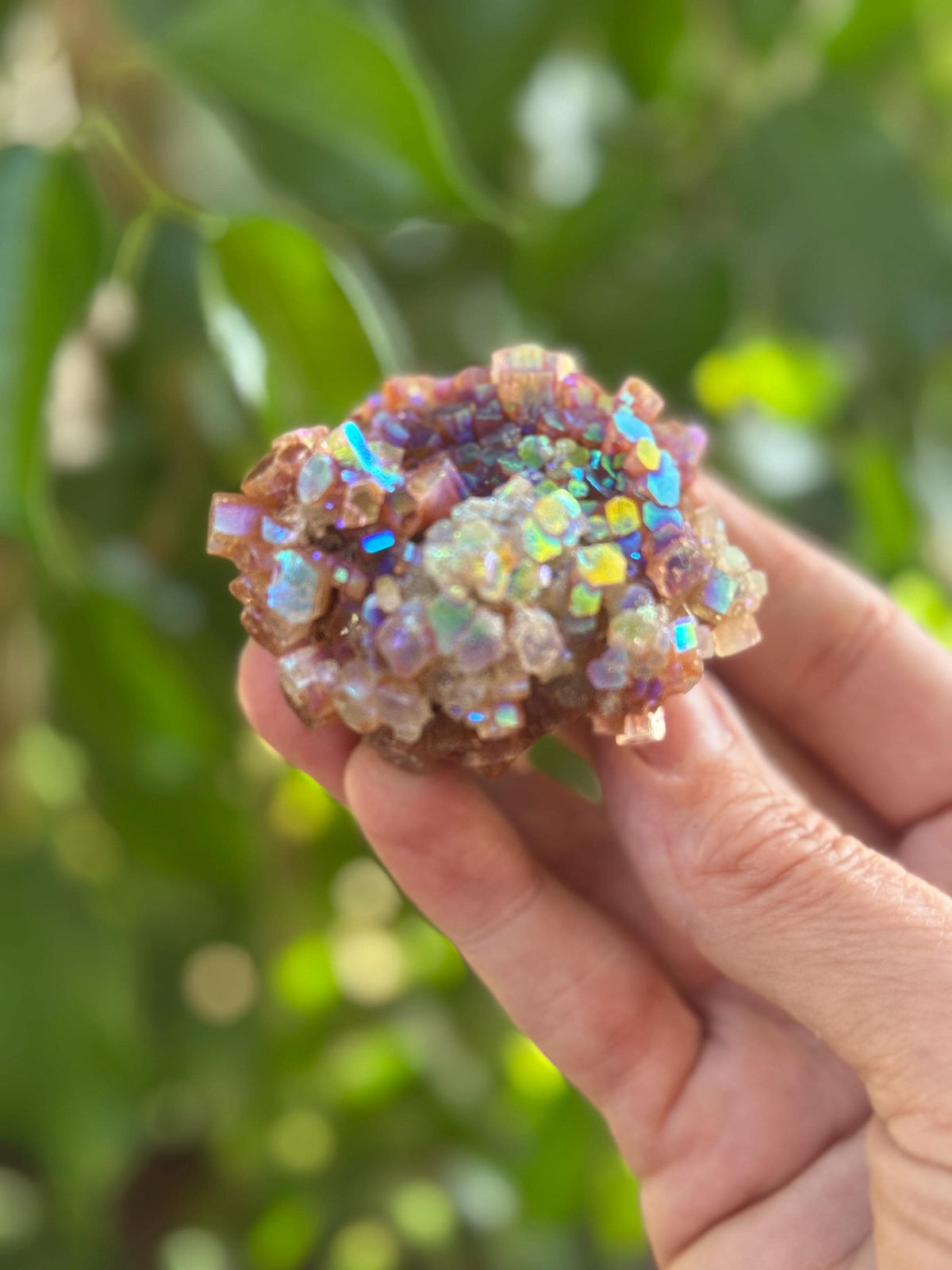 Large Angel Aura Aragonite Star Cluster, Rainbow Aura Crystals