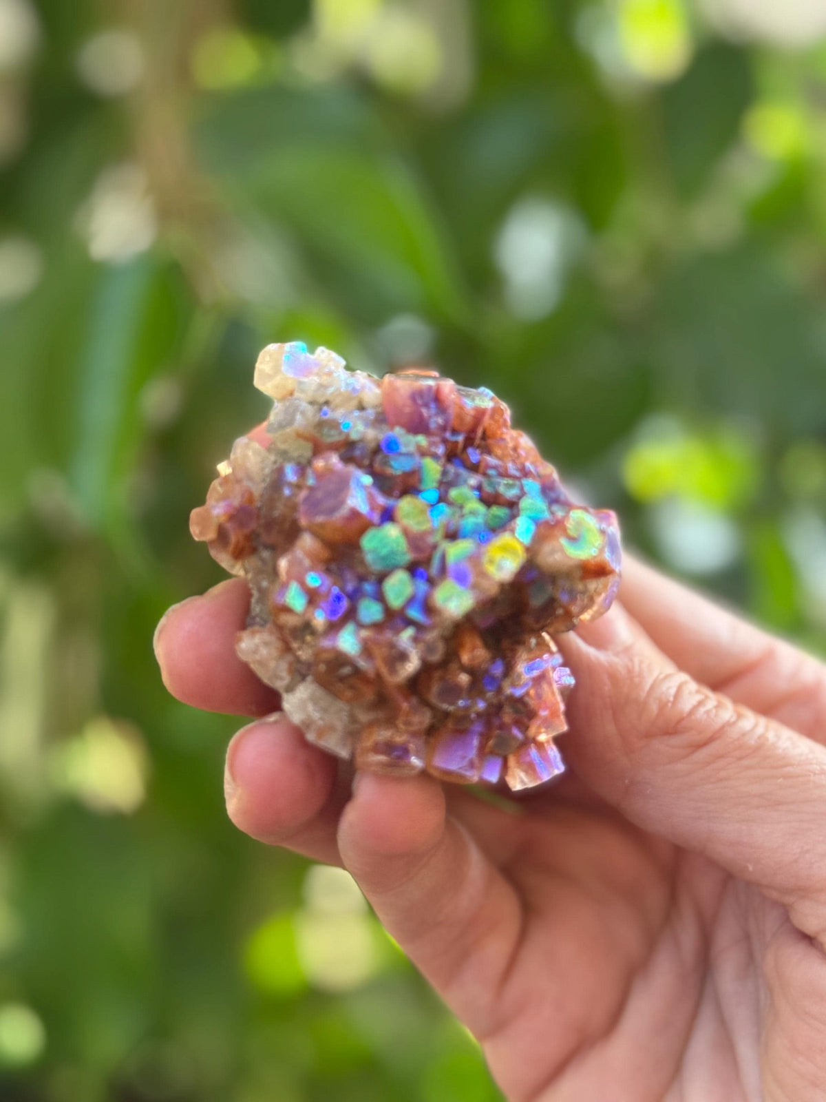 Large Angel Aura Aragonite Star Cluster, Rainbow Aura Crystals