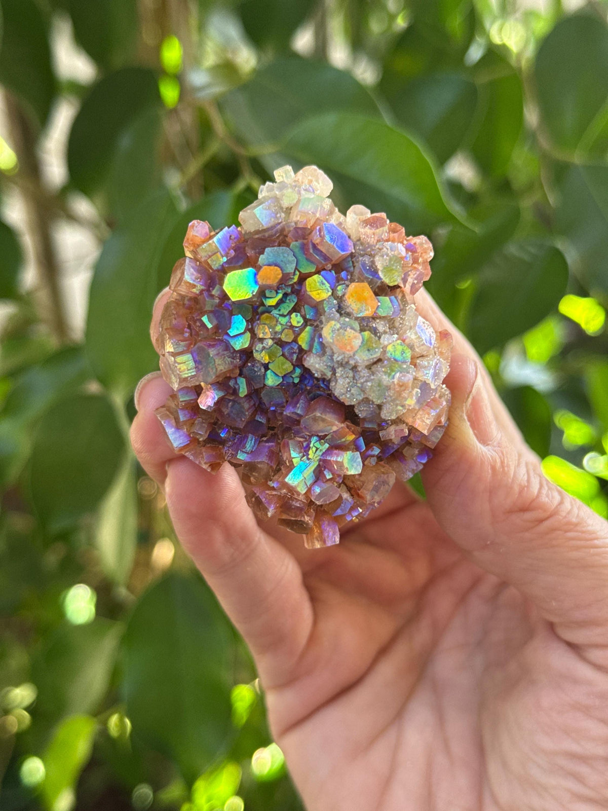 Large Angel Aura Aragonite Star Cluster, Rainbow Aura Crystals