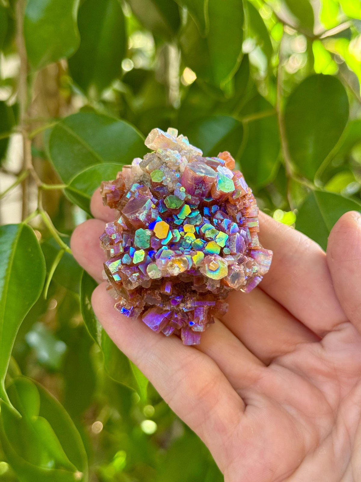 Large Angel Aura Aragonite Star Cluster, Rainbow Aura Crystals