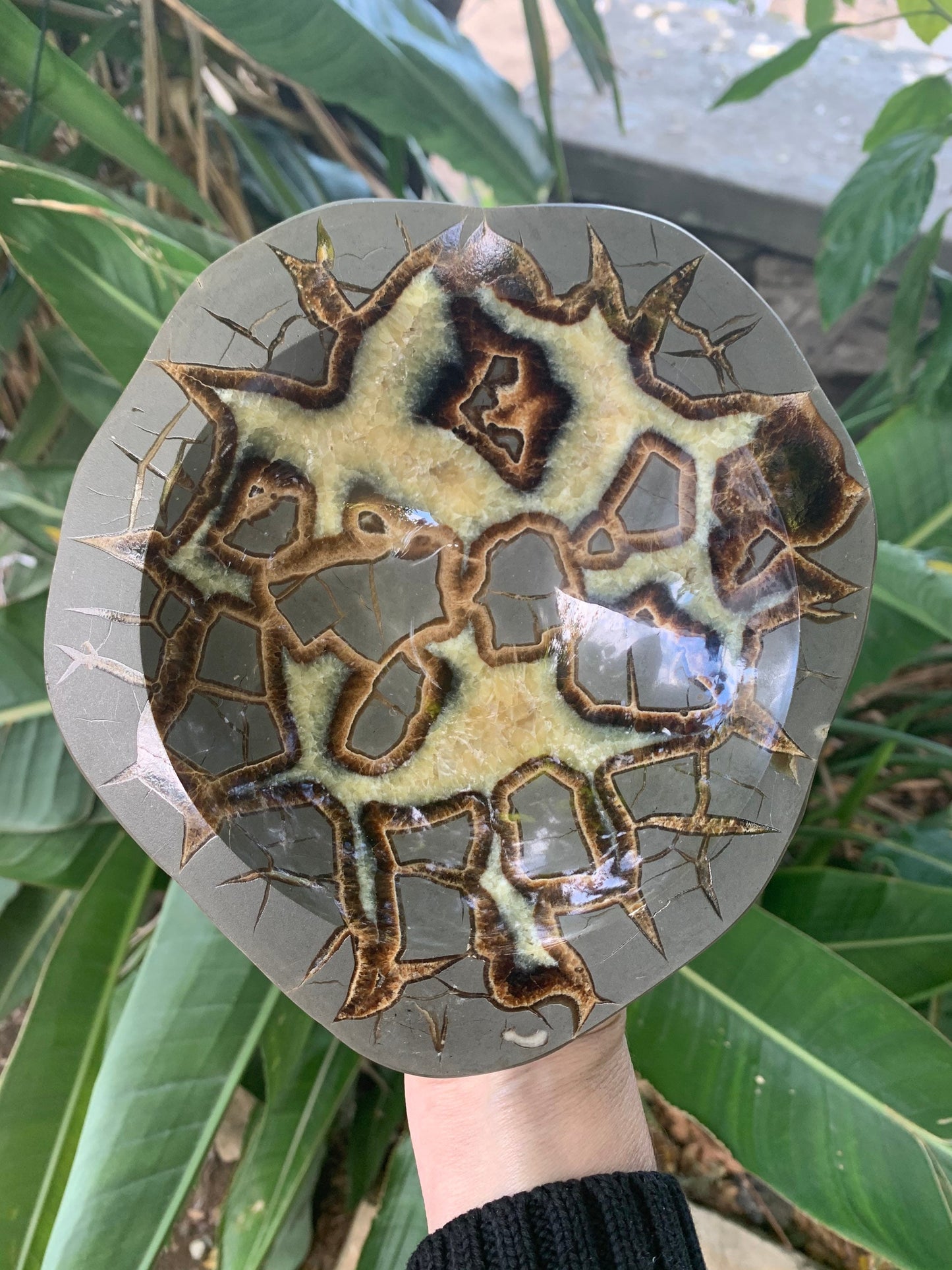 Large Septarian Bowl, Septarian Dish,  Calcite Bowl, Home Decor, Home Accessories, Reiki, Crystal Shop, Gems & Minerals