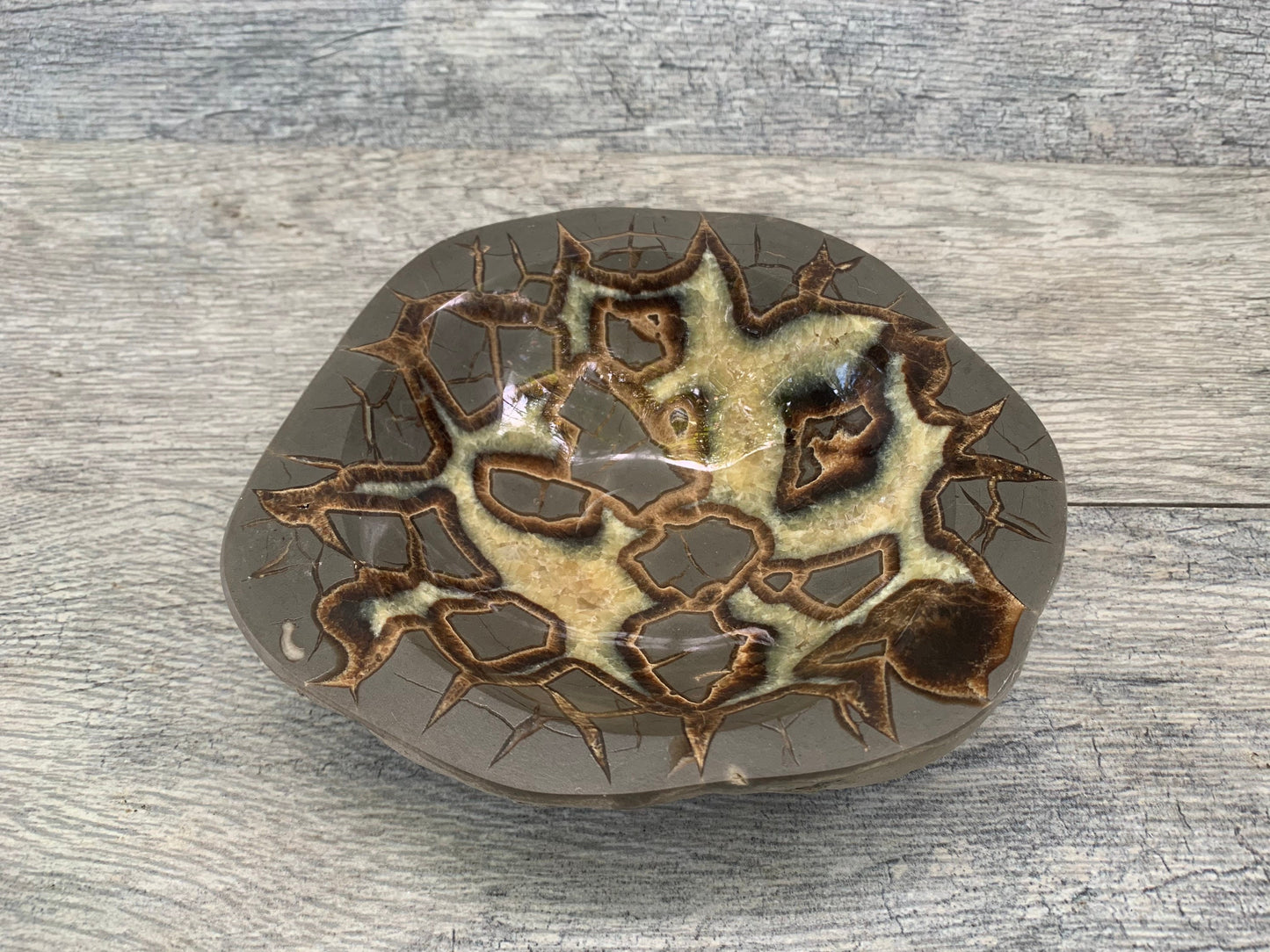 Large Septarian Bowl, Septarian Dish,  Calcite Bowl, Home Decor, Home Accessories, Reiki, Crystal Shop, Gems & Minerals