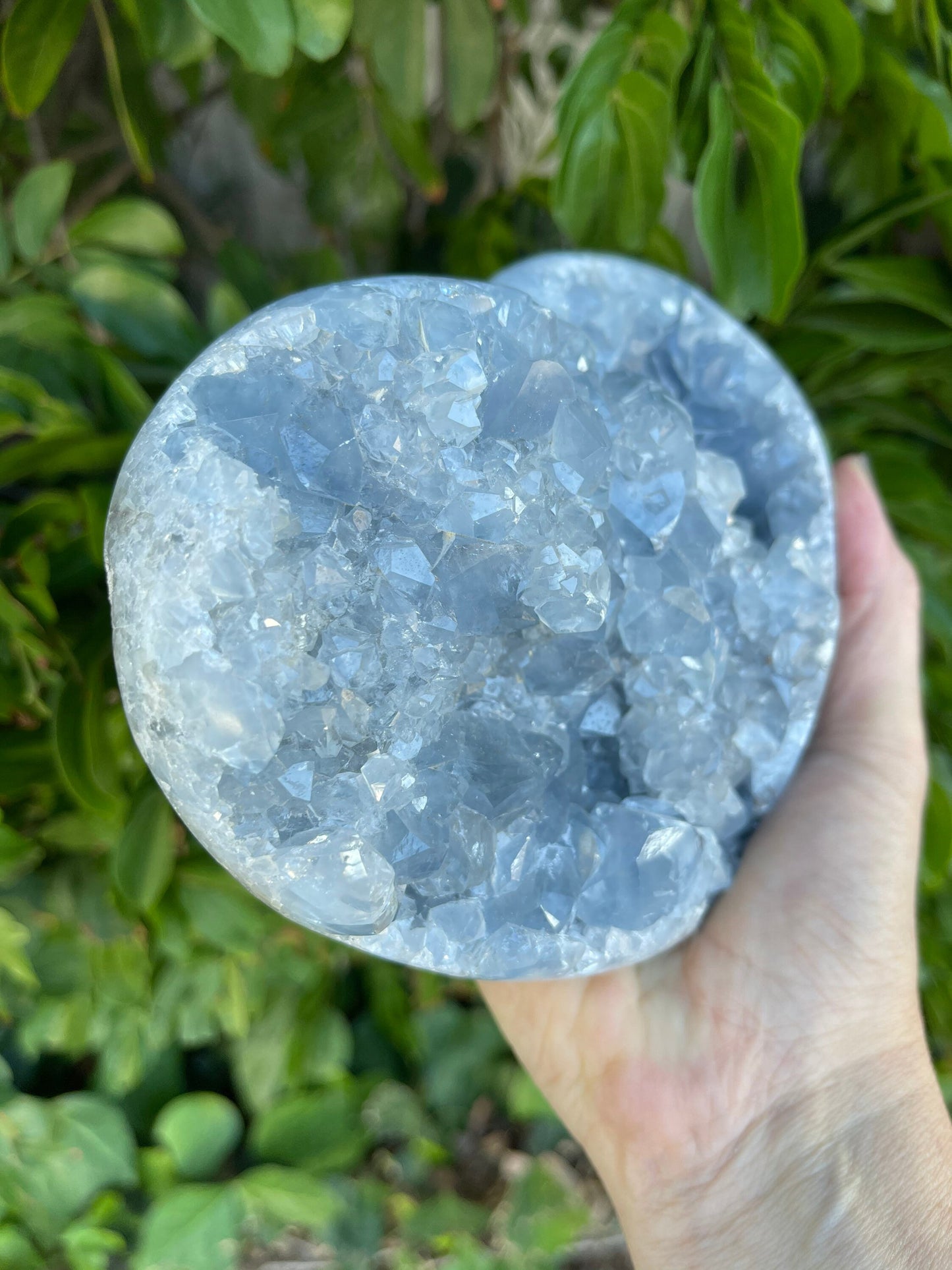 CH1 Large Celestite Heart, Celestite Cluster, Large Celestine, Crystal Heart, Home Decor, Home Accessories, Blue Crystals, Reiki,