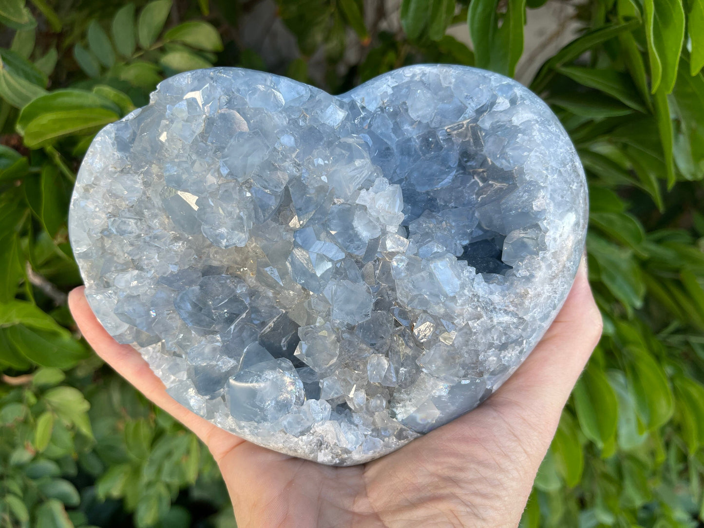 CH1 Large Celestite Heart, Celestite Cluster, Large Celestine, Crystal Heart, Home Decor, Home Accessories, Blue Crystals, Reiki,