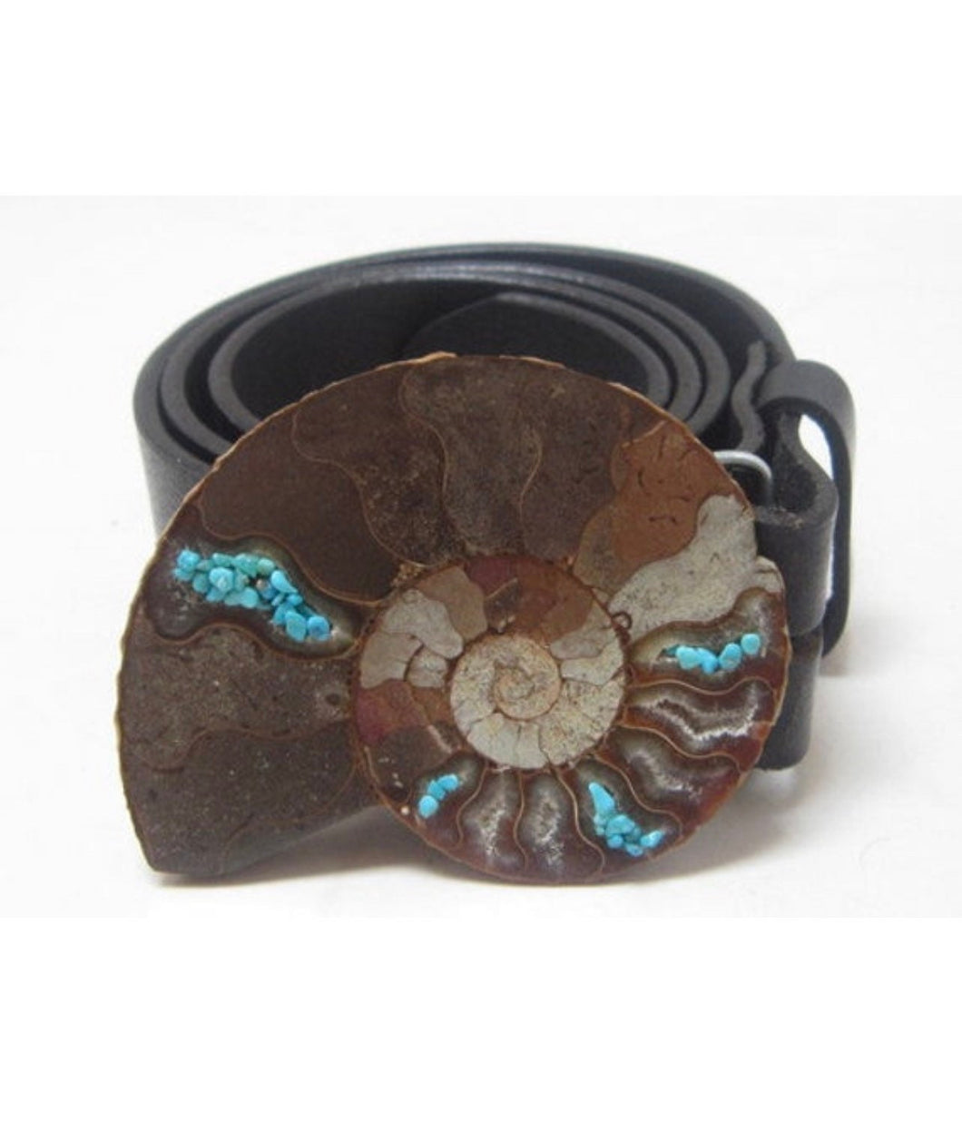 Ammonite and Turquoise Belt Buckle, Ammonite Belt Buckle, Fossil Belt Buckle, Gemstone Belts, Leather Belts, Snap Belts, Accessories,